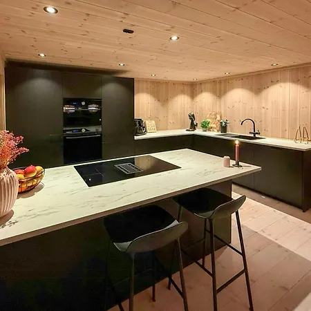 Modern With Ski-inout Near Birken Trails