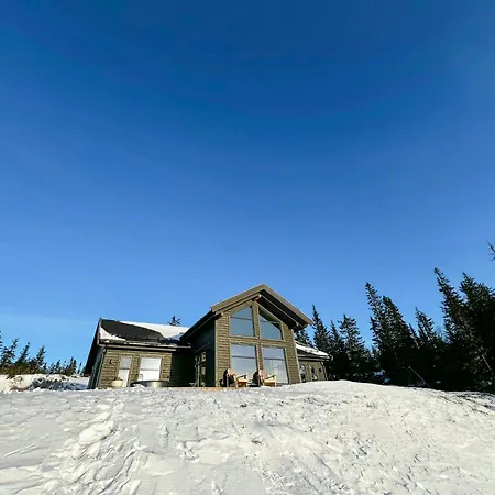 Modern With Ski-inout Near Birken Trails