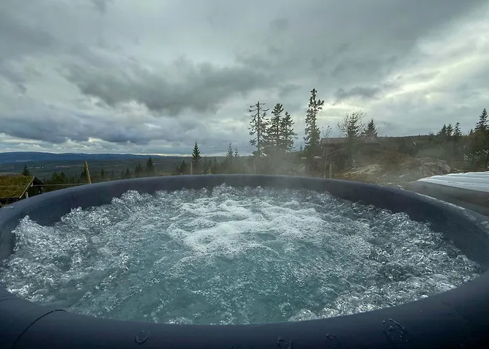 Modern With Ski-inout Near Birken Trails