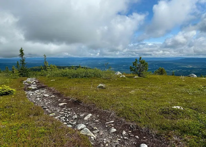 בית נופש Modern With Ski-inout Near Birken Trails Rena