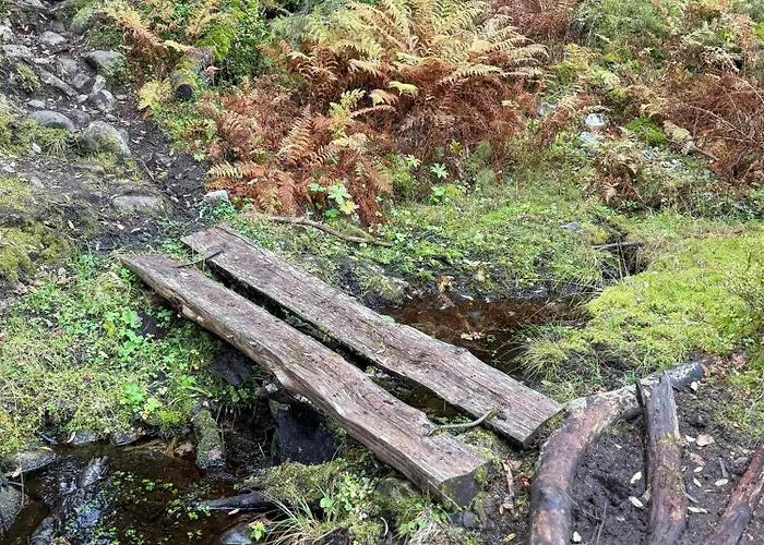 Modern With Ski-inout Near Birken Trails Rena