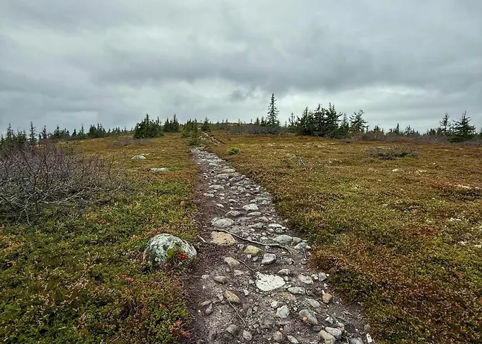 Nyaraló Modern With Ski-inout Near Birken Trails