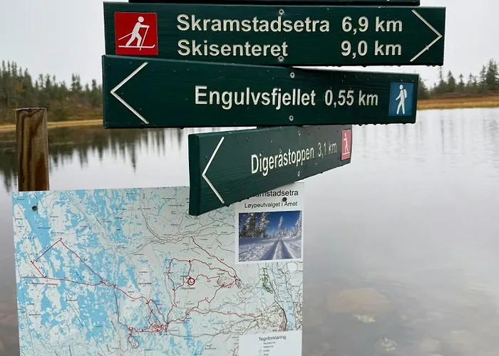 Modern With Ski-inout Near Birken Trails * Rena